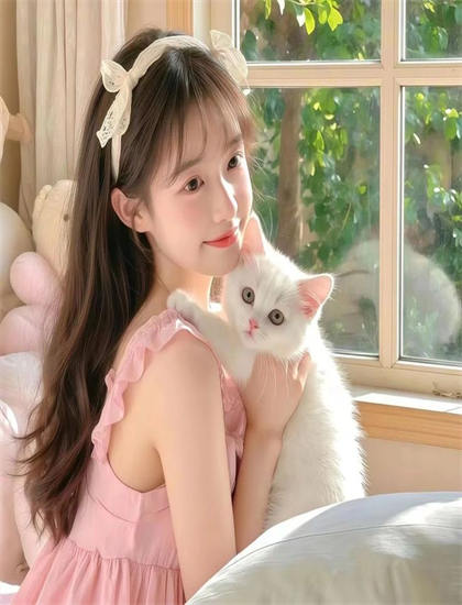 全面的解码登陆日：猛犬连：从剧情到主题的探索之旅